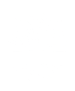 Logo : un arbre avec ses racines
